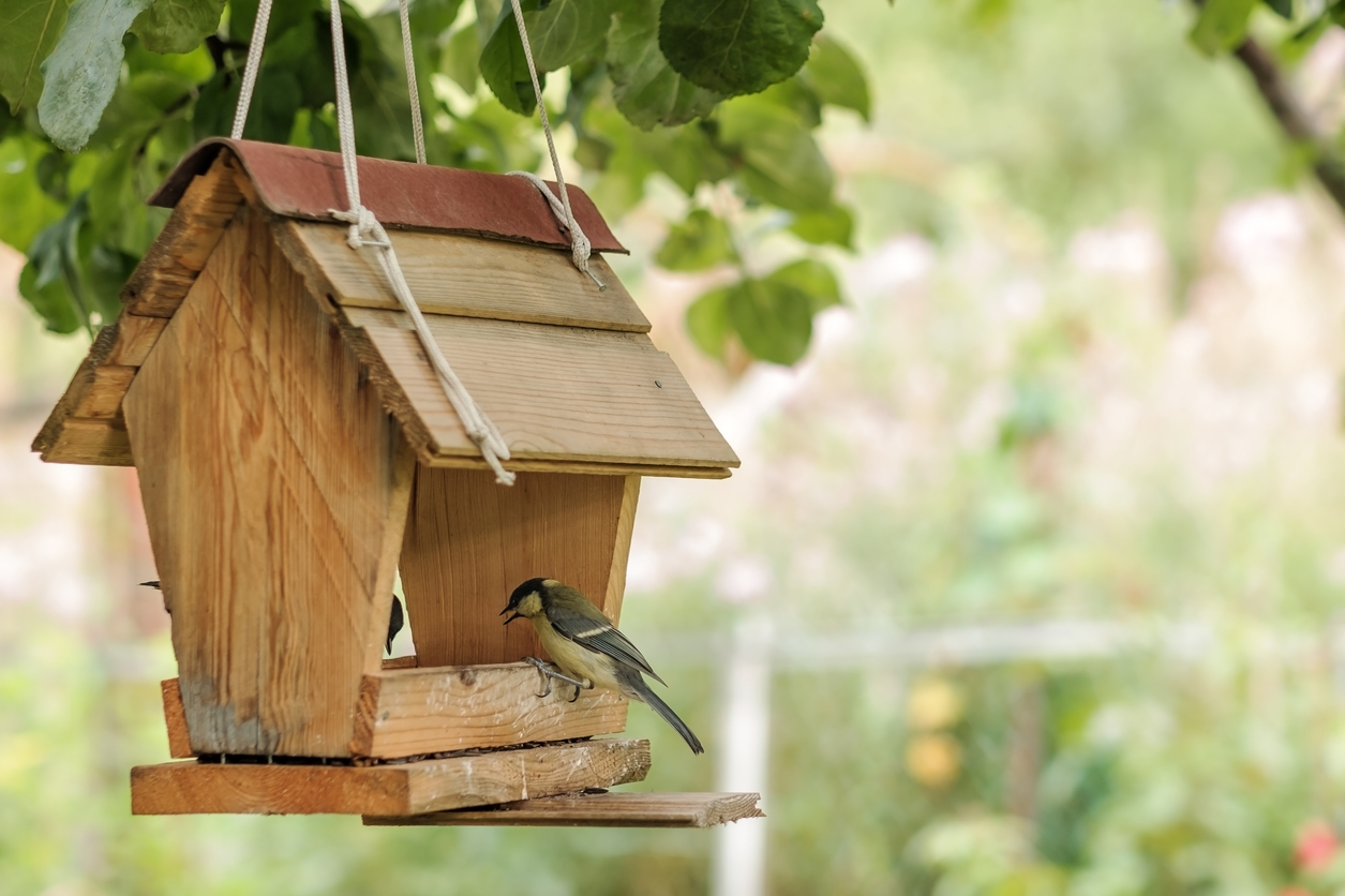 Abbeveratoio per Uccelli in Piedi Bagno Per Uccellini Da Balcone Mangiatoiaper Uccelli Selvatici ciotola per uccelli in piedi Abbeveratoio Per Uccelli Selvatici Da Giardino In ferro