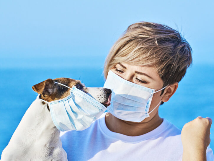I cani possono “fiutare” il Covid?