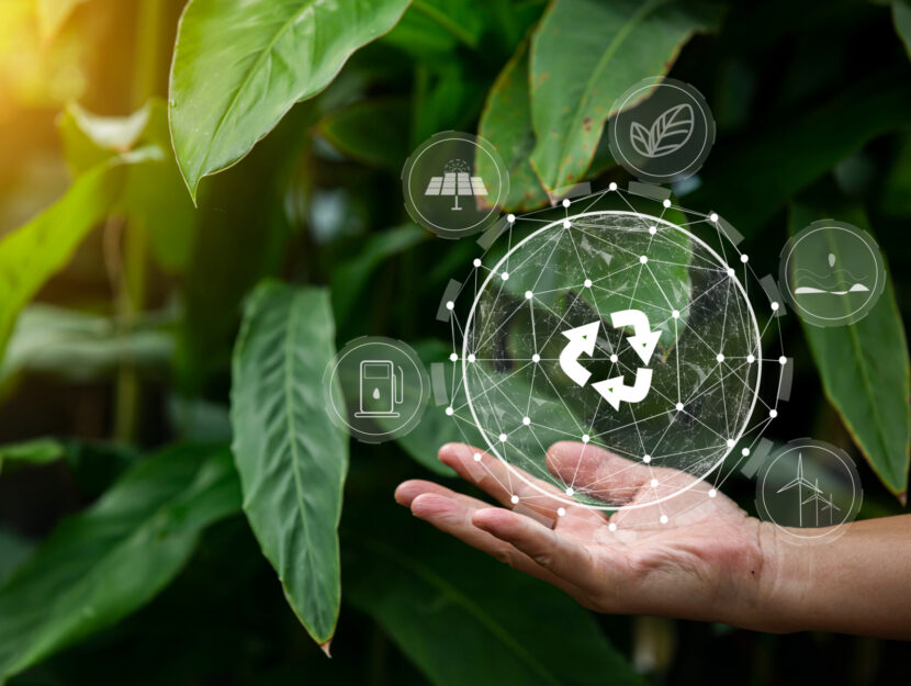 gesti ecologici ecosostenibili