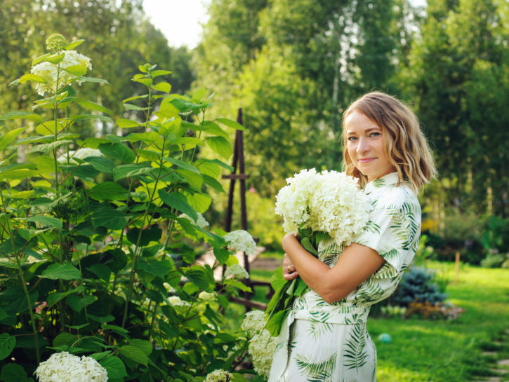 5 consigli per seccare le ortensie