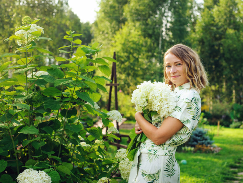 come coltivare ortensie