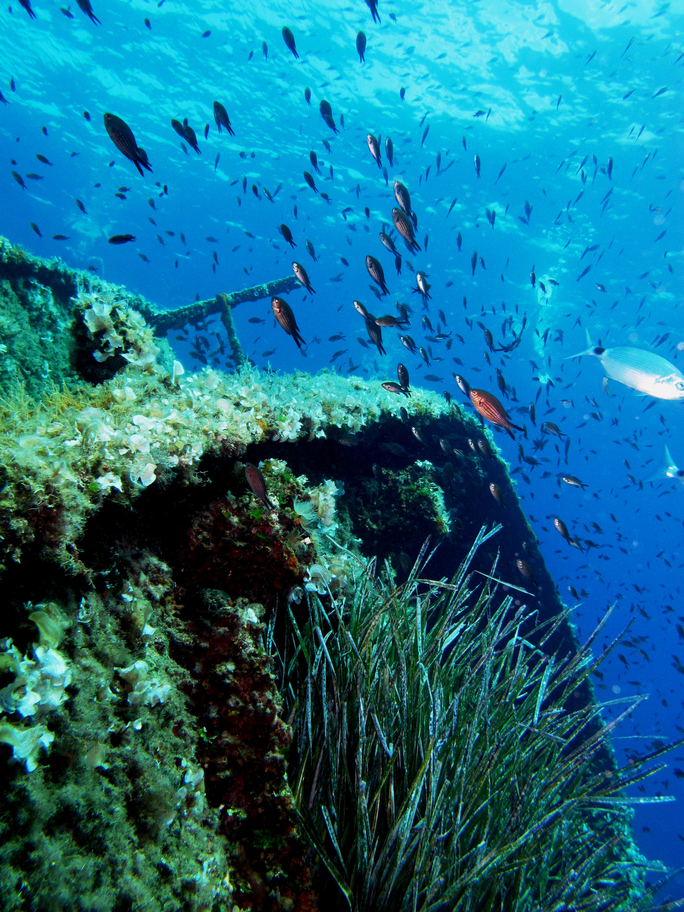 isola d'elba con i bambini