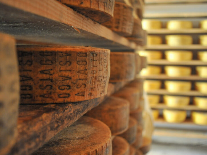 Asiago DOP Prodotto della Montagna: perché l’alpeggio lo rende unico