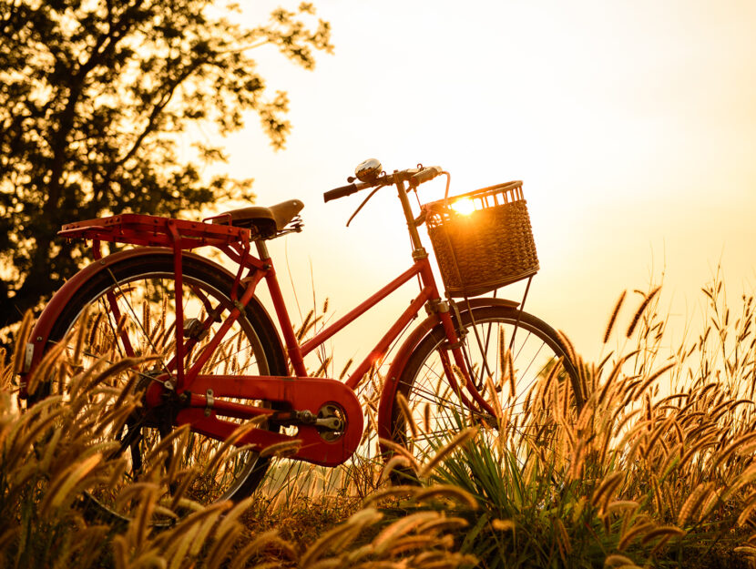 Scegliere la bicicletta da acquistare