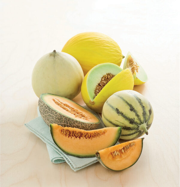 Melone: varietà