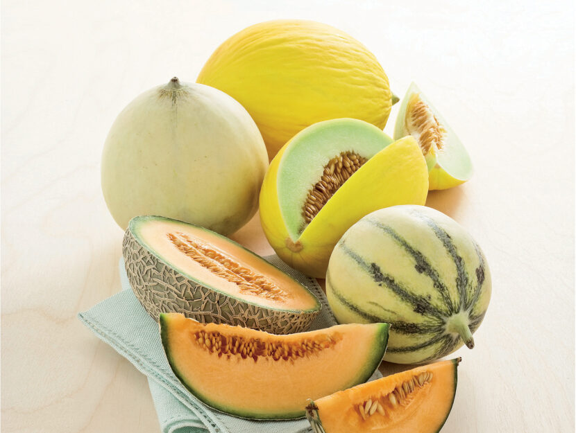Melone: varietà