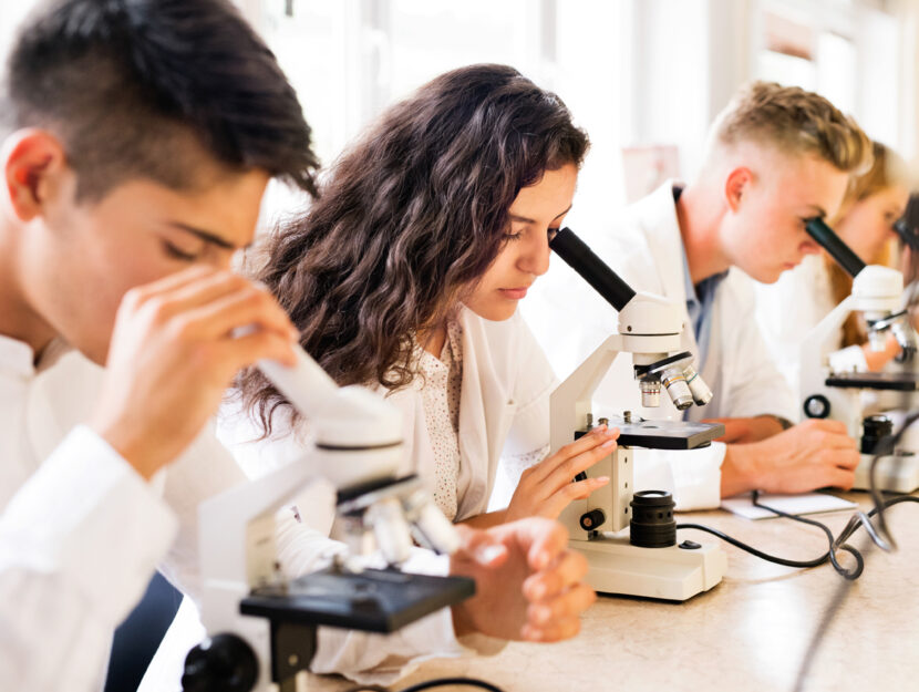 Ragazzi laboratorio miscroscopi