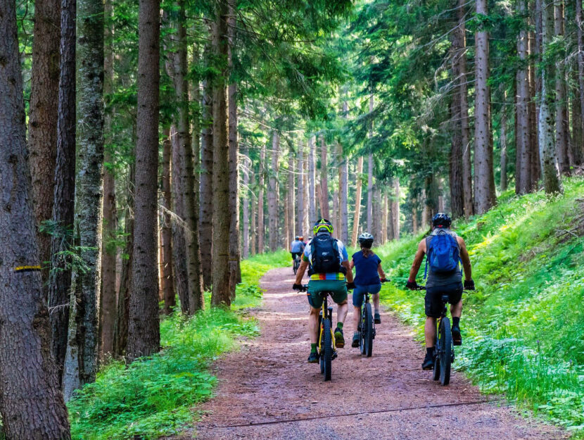 In bici nel bosco