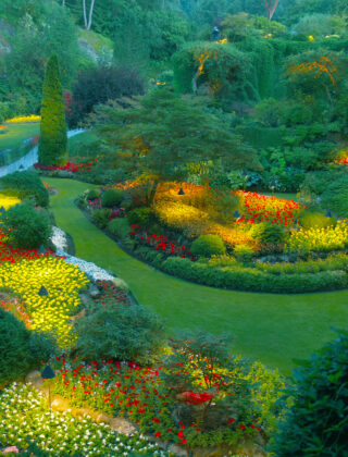 Giardini sensoriali, la cura verde