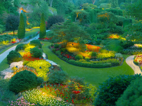 Giardini sensoriali, la cura verde