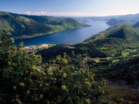 Antibiotici e antidolorifici nei nostri laghi