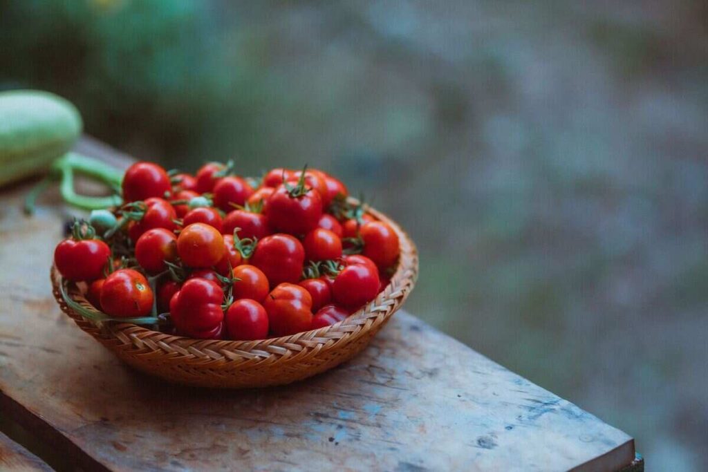 pomodori rossi in cesta