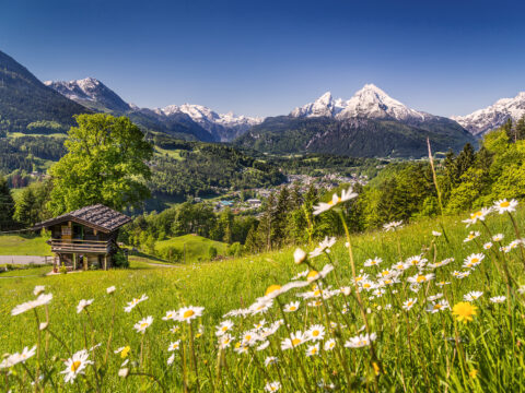 Vacanza in montagna? 5 motivi (+1) per scegliere alpeggi e malghe