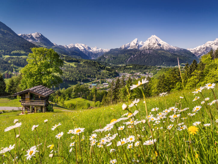 Vacanza in montagna? 5 motivi (+1) per scegliere alpeggi e malghe