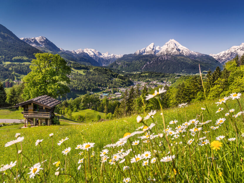 Vacanza in montagna - panorama alpino