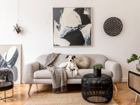 Design accessibile: i divani smart per il tuo salotto