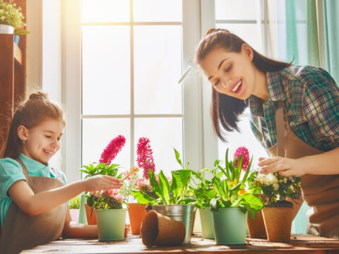 Verso un mondo più green: piccoli gesti che cambiano il mondo