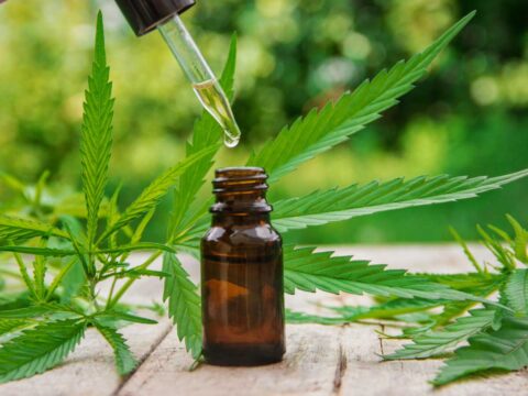 Cannabis light, il boom dopo la pandemia