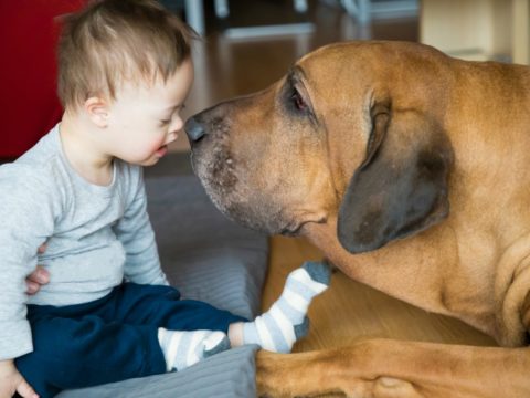 Pet therapy, quando la terapia è a base d’amore