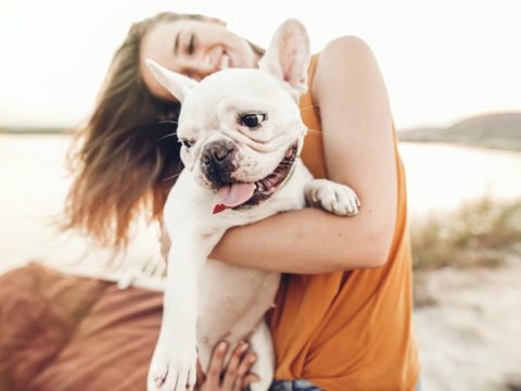 6 regole per educare il tuo amico a quattro zampe