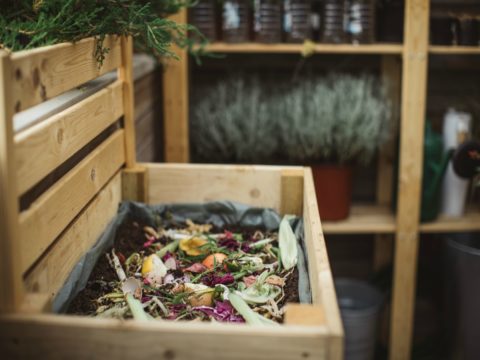 Compostare i rifiuti alimentari in casa: una piccola guida