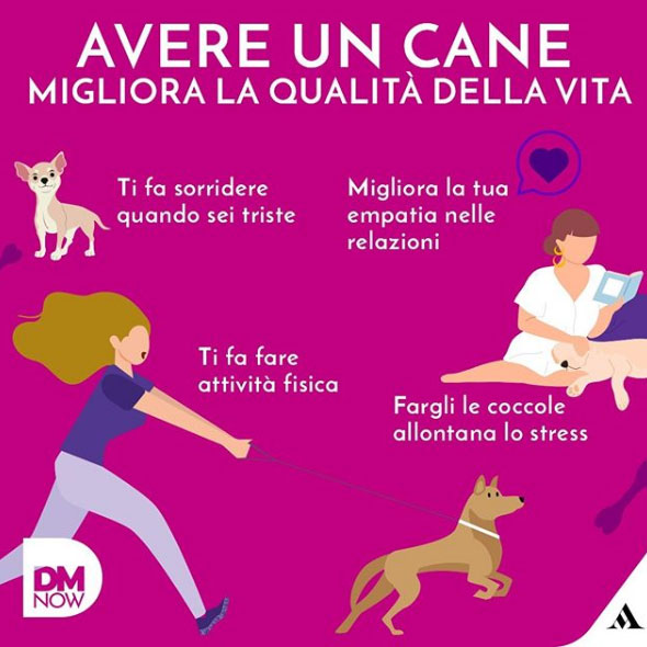 Stai pensando di prendere un cane? Cosa devi sapere prima - CaZampa