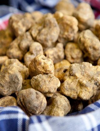 Tartufo bianco: buono e antiage