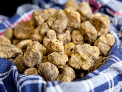Tartufo bianco: buono e antiage