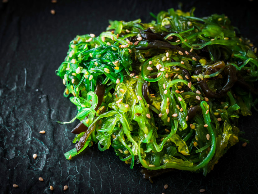 alga wakame