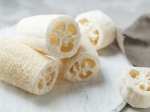 Spugna di luffa: il rituale di benessere 100% naturale e sostenibile