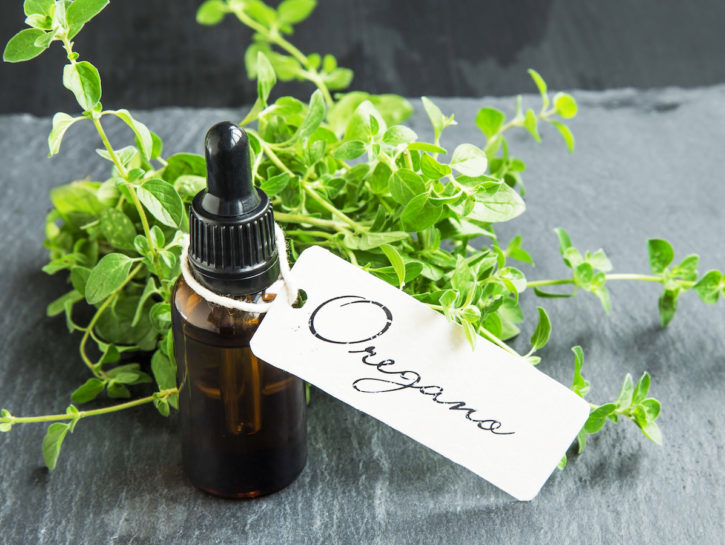 Come essiccare e conservare l'origano