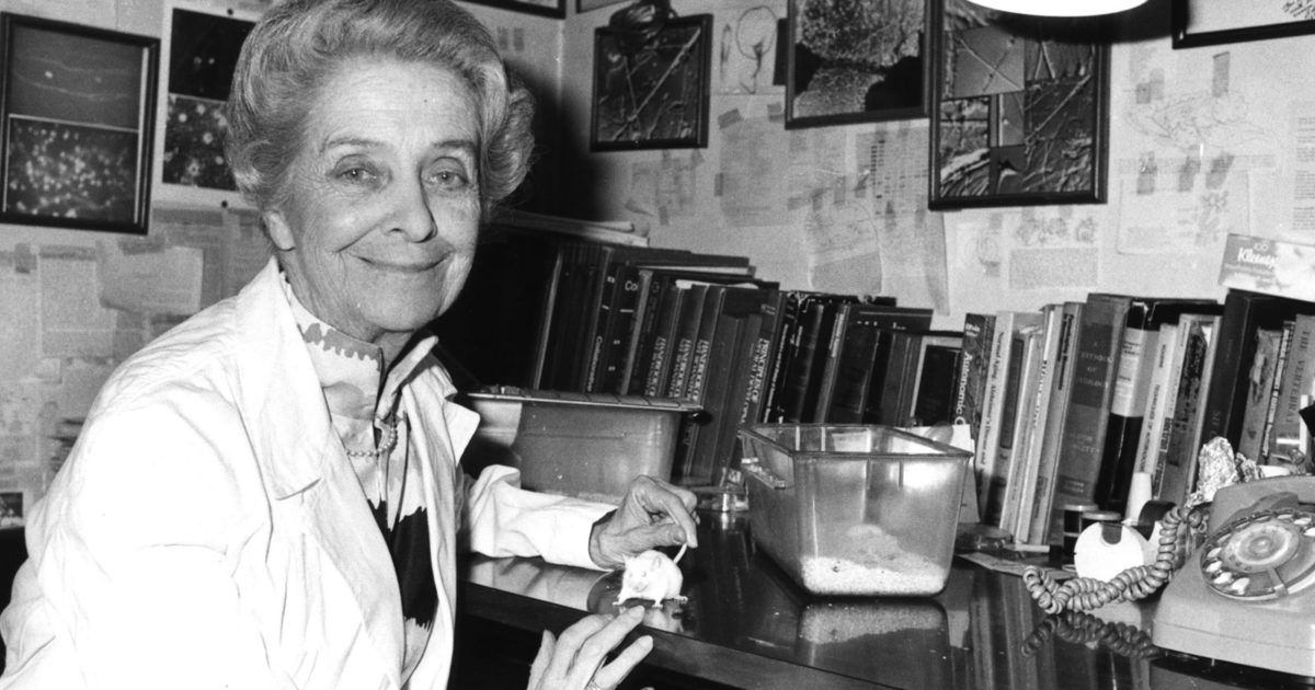 Rita Levi Montalcini Scoperte Spiegate Ai Bambini