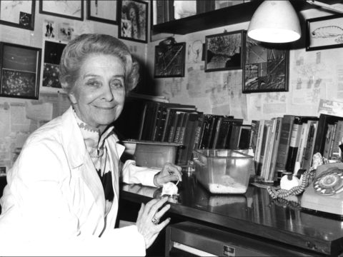 Rita Levi Montalcini, la scienza e l'amore