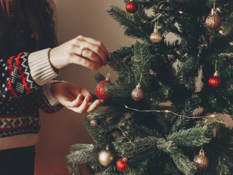 5 cose da sapere per un albero di Natale sostenibile in casa tua