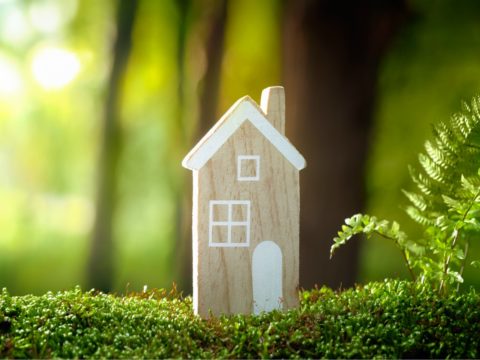 Restyling ecocompatibile: come trasformare la nostra casa in modo sostenibile