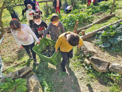 Nelle scuole dove si fa lezione all’aperto