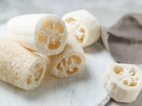 Spugna di luffa: cosa è, come si usa e perché è ecologica - Donna Moderna