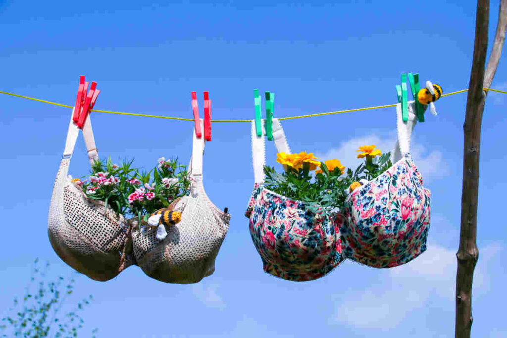 reggiseni riciclati appesi come vasi per fiori