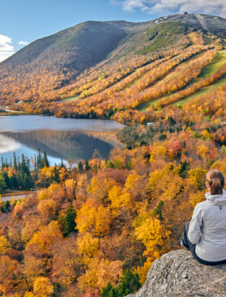 Green mindfulness: come riconnettersi con la natura