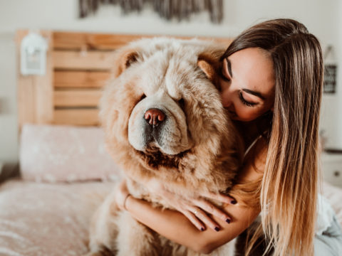 Quello che devi sapere prima di adottare un cane