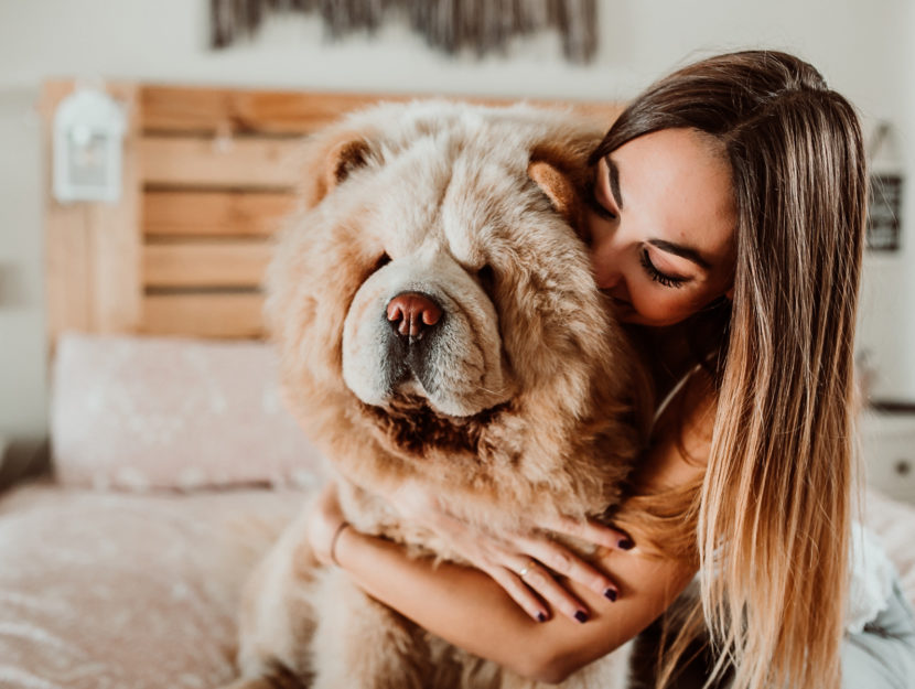 Ragazza cane casa