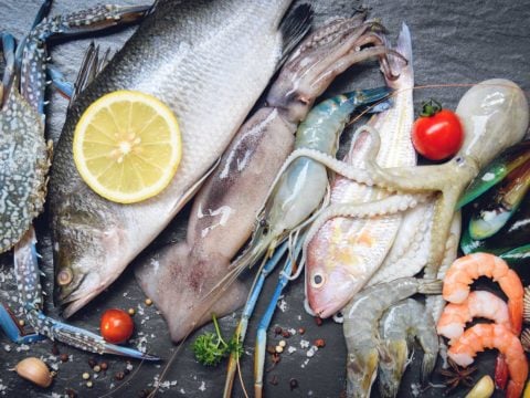 Le regole per comprare il pesce buono e giusto