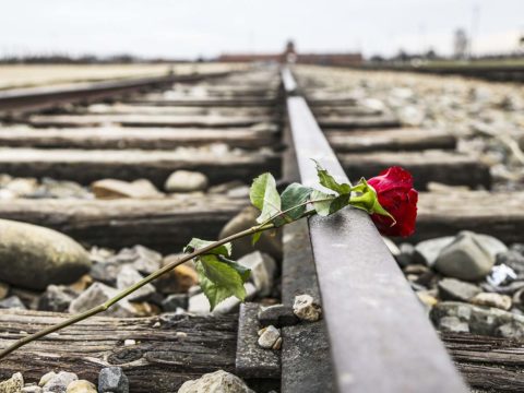 Giorno della memoria 2021: 10 film da vedere sulla Shoah