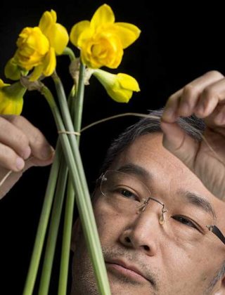 Il kukido, la nuova arte floreale che viene dal Giappone