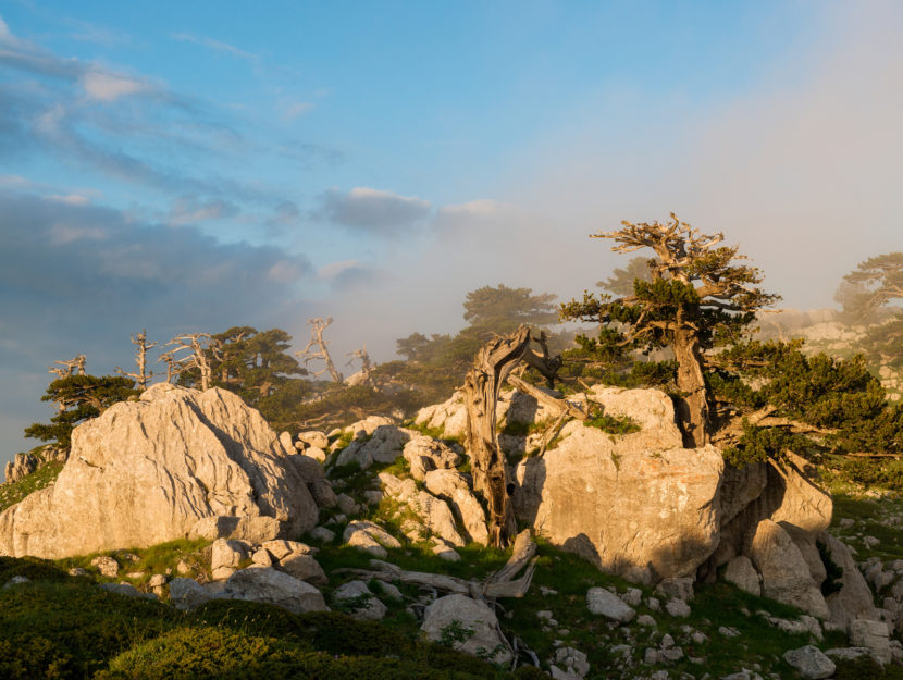 Giardino degli Dei al tramonto , Parco Nazionale del Pollino