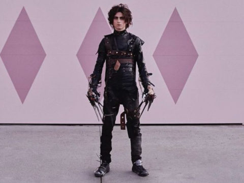 Timothée Chalamet è l'erede di Edward mani di forbice