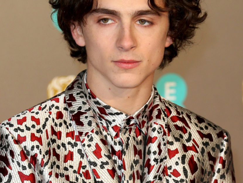 L'attore Timothée Chalamet