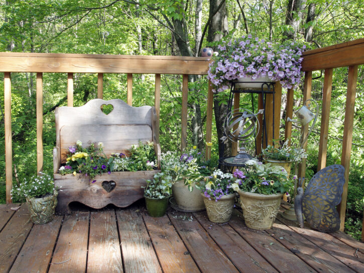 Come liberare il giardino dall'ortica
