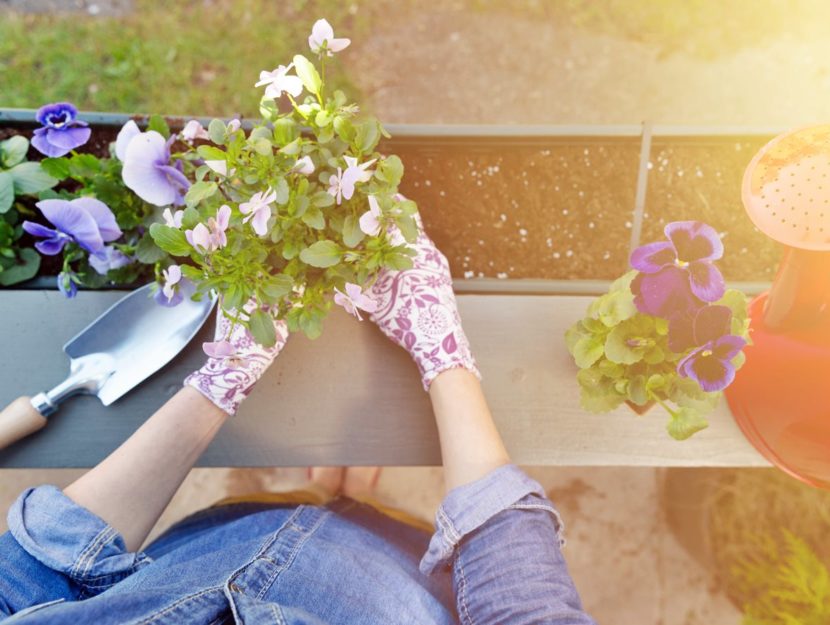 donna che fa giardinaggio