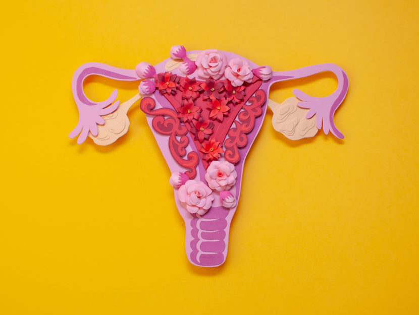 Endometriosi-apparato